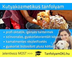 Kutyakozmetikus OKJ-s tanfolyam Budapesten