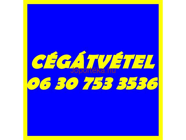 Cégátvétel