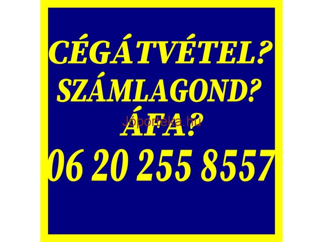 Cégátvétel? Számlagond? ÁFA? 06 20 255 8557