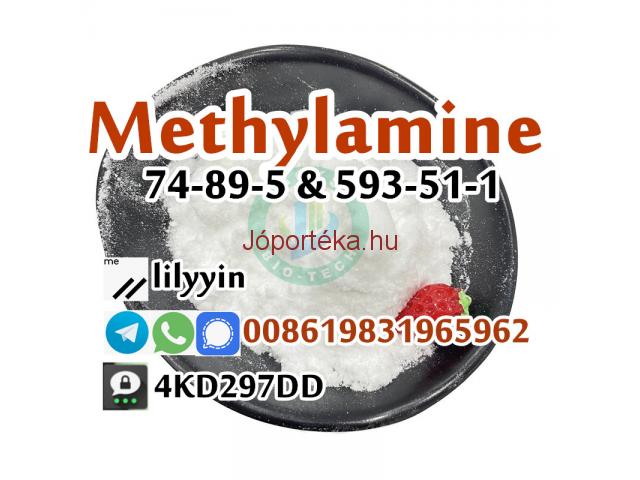 593-51-1 Methylamine hcl