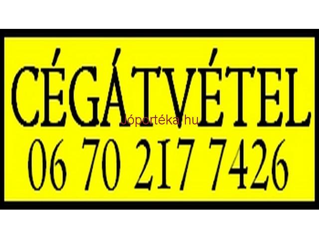 Cégátvétel tartozással. Tel: 06 70 217 7426 Problémás cégek átvétele.