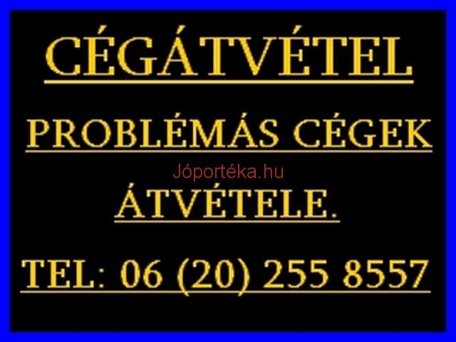 Köztartozás, házipénztár, tagikölcsön, könyvelési probléma? Cégét rugalmas feltételekkel átvesszem.