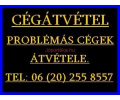 Köztartozás, házipénztár, tagikölcsön, könyvelési probléma? Cégét rugalmas feltételekkel átvesszem.