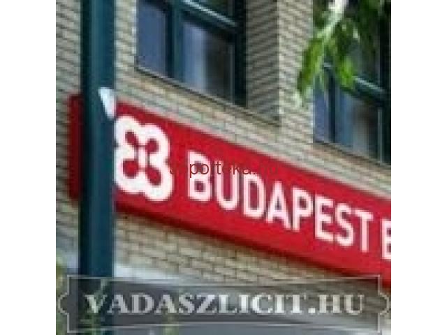 A PÉNZÜGYI MEGOLDÁS 48 órán belül