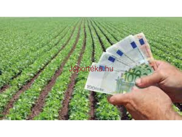 ajánlat hitelek között, különösen súlyos 24 óra