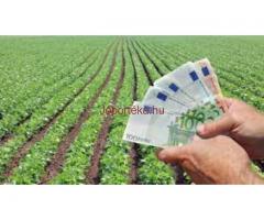 hitel ajánlat bárki számára komoly