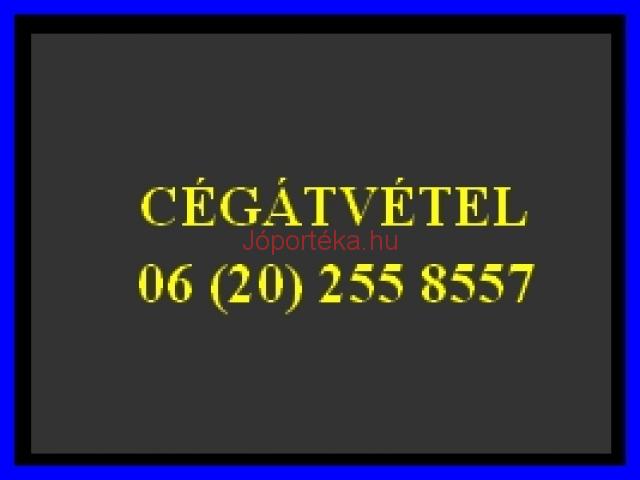 Üzletrész átvétel? Üzletrész átruházás? Eladósodott cég átvétel?