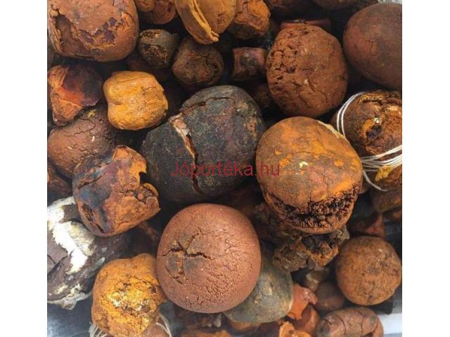 Buy cow /Ox Gallstone Available On Stock Now @ (WhatsApp: +237673528224)